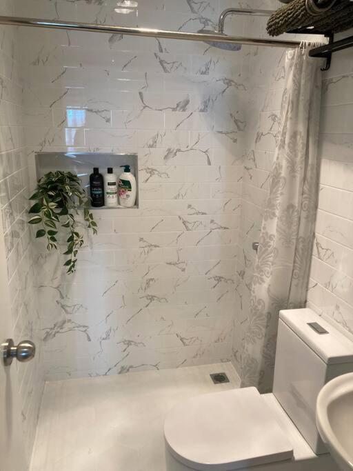 Newly Renovated Studio シドニー エクステリア 写真